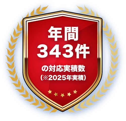年間343件 年間343件